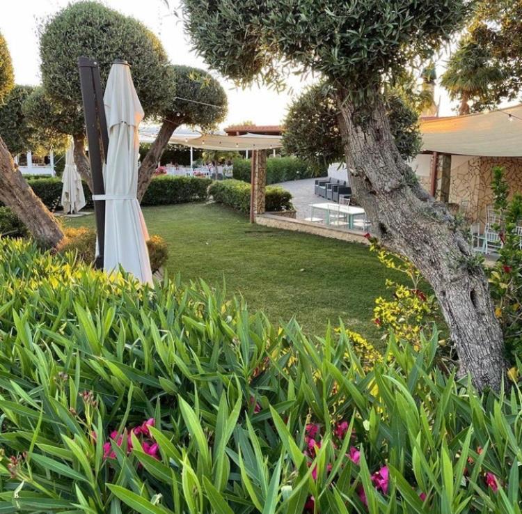 Villalessandra Civitavecchia Ngoại thất bức ảnh